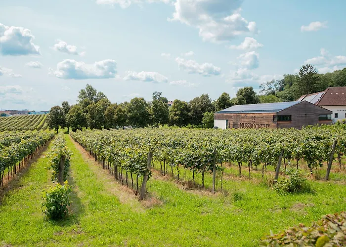 Nussboeckgut - Winzerhof Mit Gratis Parkplatz Bed & Breakfast Leonding photo