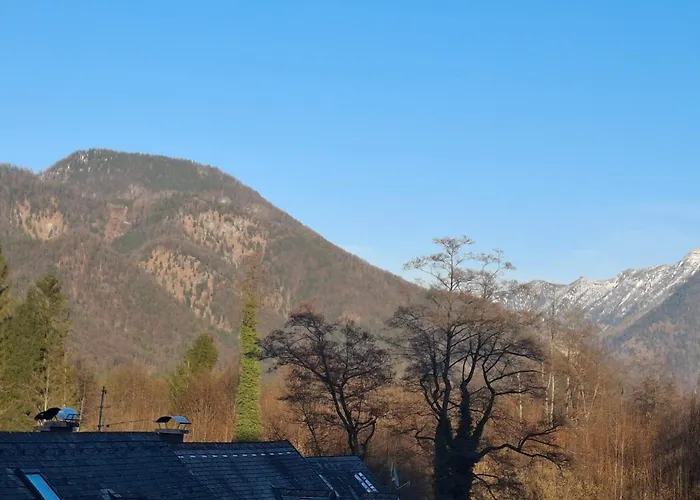 Alpine Studio Near Bad Ischl#2 Haiden photo