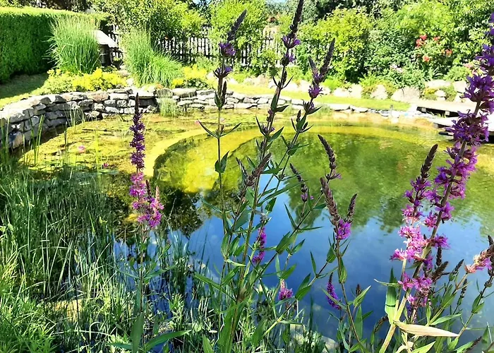 Honigduft Und Bienenluft Apartment Sankt Oswald bei Freistadt photo