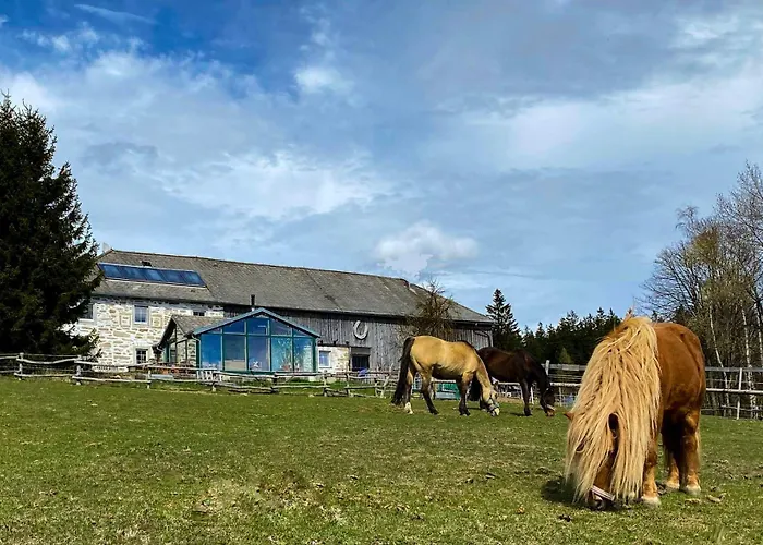 Bio-Bauernhof, Pferdehof Graeser Viehberg photo