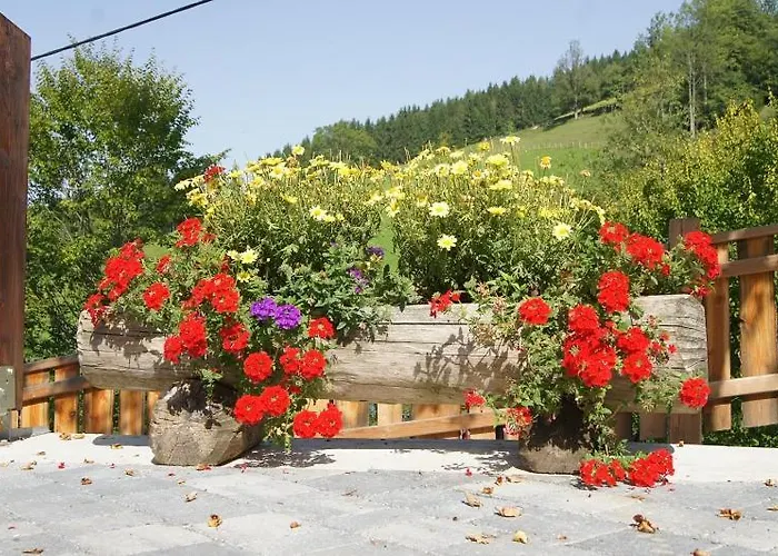 Gasthof Forellenhof Apartment Laussa תמונה