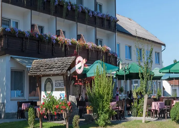 Gasthof Pension Auzinger Meggenhofen photo